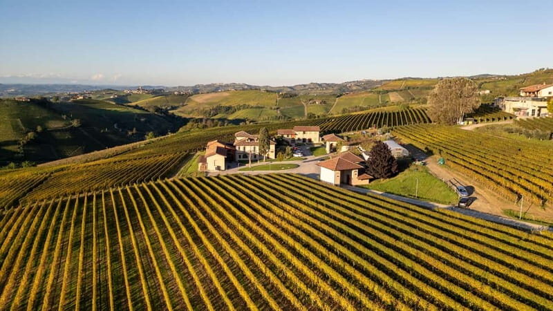 Monforte d'Alba: 7 glasses of Langhe with visit to Winery and Vineyards - A Deeper Look at the Experience