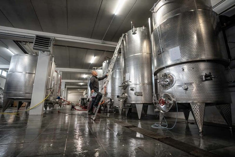 Monforte d'Alba: 7 glasses of Langhe with visit to Winery and Vineyards - Who Should Consider This Tour?