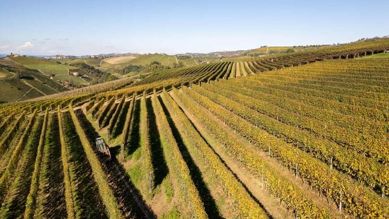 Monforte d'Alba: 7 glasses of Langhe with visit to Winery and Vineyards - Frequently Asked Questions