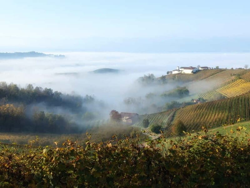 Monforte dAlba: Guided Walking Tour with Wine Tasting - Wine Tasting: Five Wines Paired with Local Flavors