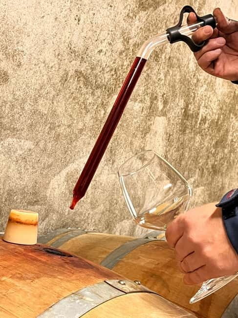 Monforte dAlba: Guided Walking Tour with Wine Tasting - Practical Details & Considerations