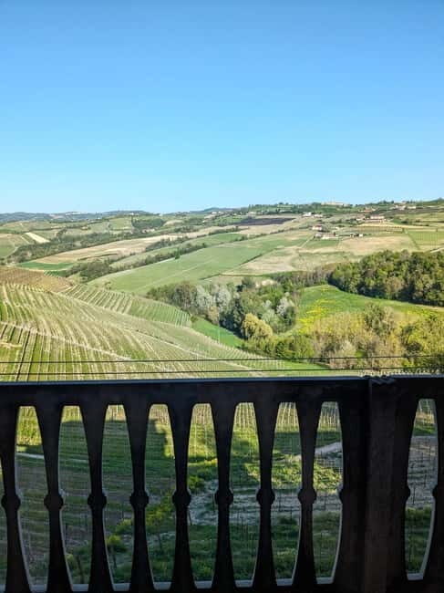 Monforte dAlba: Guided Walking Tour with Wine Tasting - The Value of the Experience