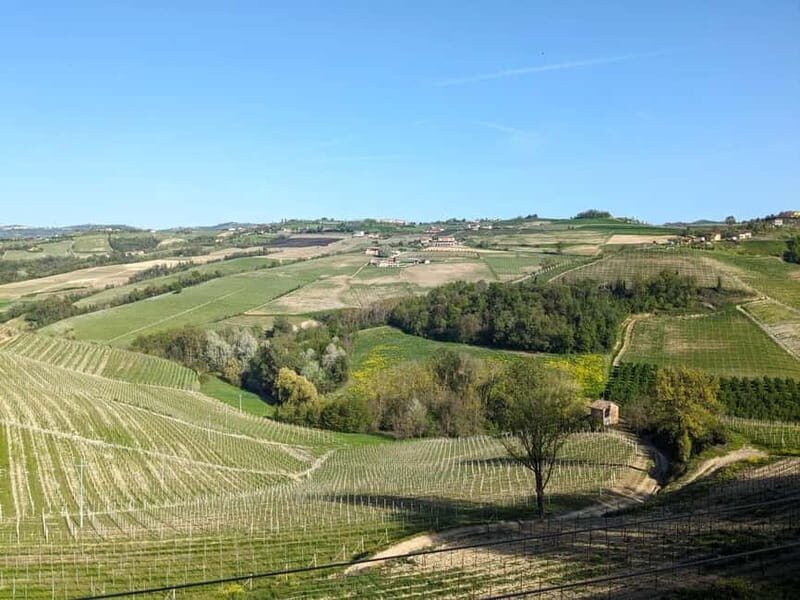 Monforte dAlba: Guided Walking Tour with Wine Tasting - Final Thoughts