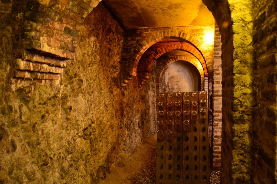 Monforte D'alba: Immersive Winery Tour - Key Points