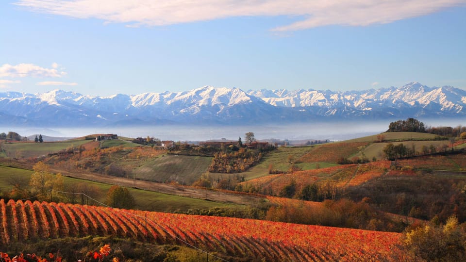 Monforte D'alba: Immersive Winery Tour - Itinerary Details