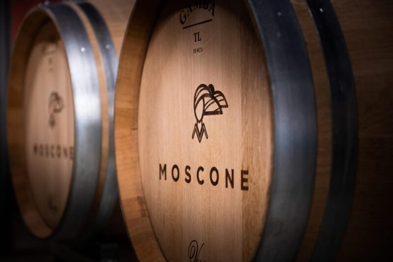 Monforte D'alba in Langhe: Unforgettable Winery Tasting - Key Points