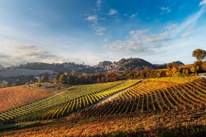 Monforte D'alba in Langhe: Unforgettable Winery Tasting - Delighting in the Dolcetto Dalba D.O.C