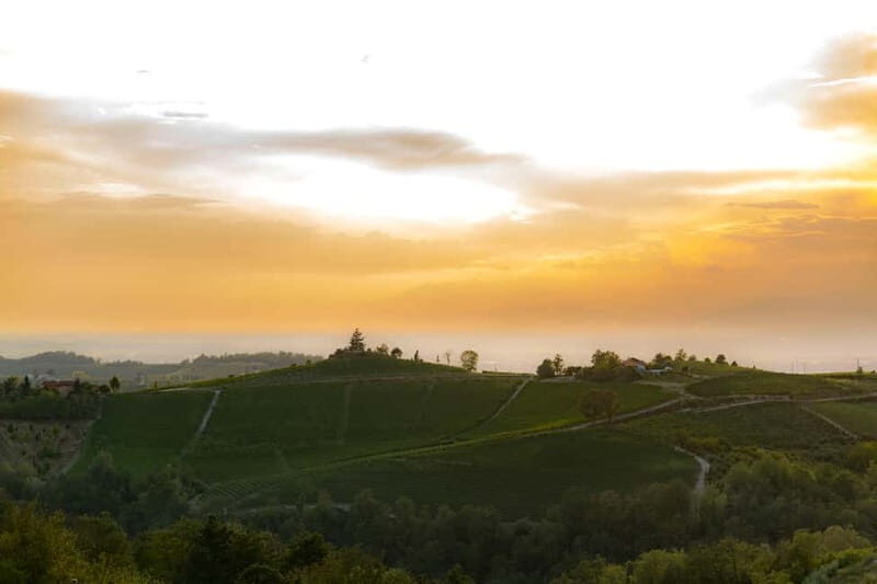 Monforte d'Alba: Picnic & Big Benches - A Detailed Look at the Experience