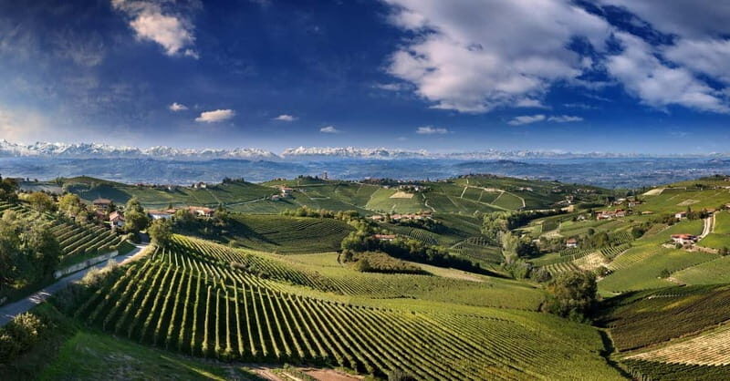 Monforte d'Alba: Picnic & Big Benches - Starting Point: Tenuta Bussia - Wine Relais & Spa