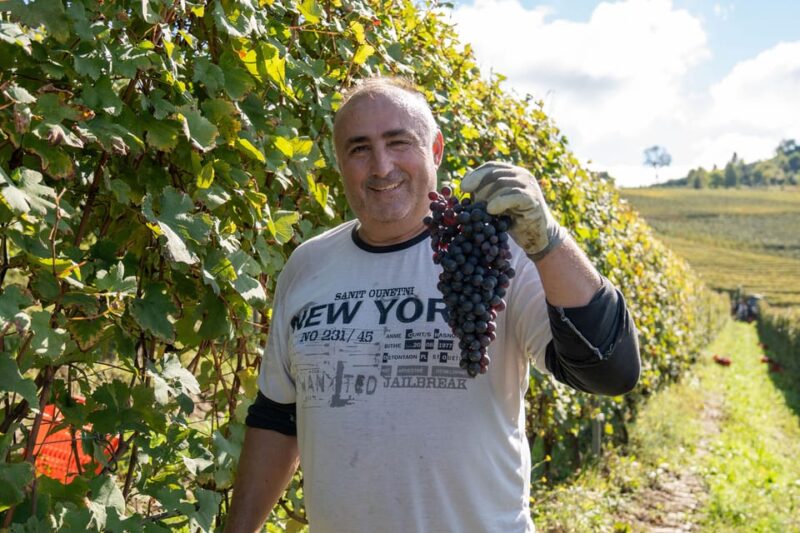 Monforte Dalba: Tasting of Iconic Langhe Wines and Winery Tour - Pricing and Reservation
