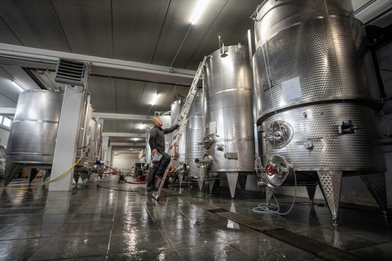 Monforte Dalba: Tasting of Iconic Langhe Wines and Winery Tour - Itinerary Details