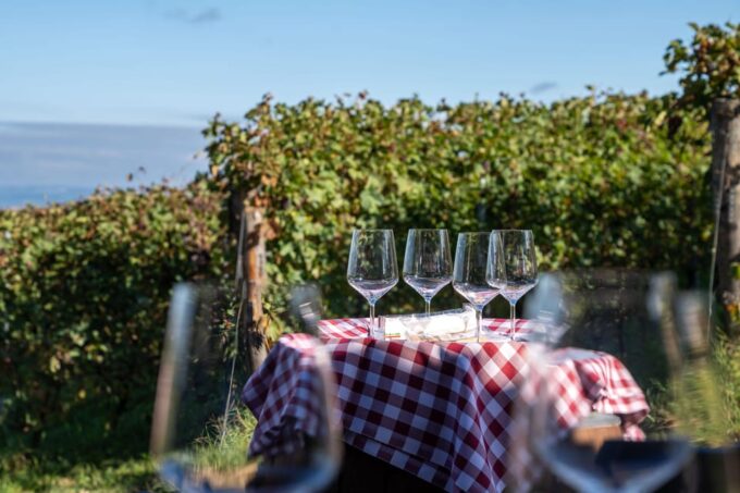 Monforte Dalba: Tasting of Iconic Langhe Wines and Winery Tour - Frequently Asked Questions