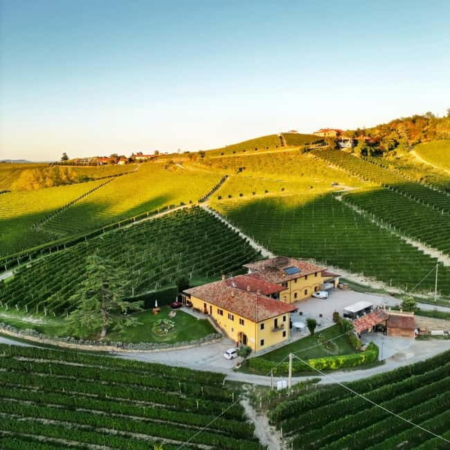 Monforte d'Alba: Wine and Chocolate Tasting Experience - An Authentic Taste of Piedmont’s Wines and Chocolates