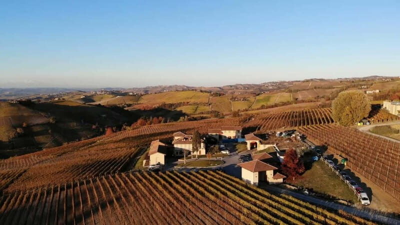 Monforte d'Alba: Wine Tasting, Cellar Visit, and Vineyard Tour - FAQs