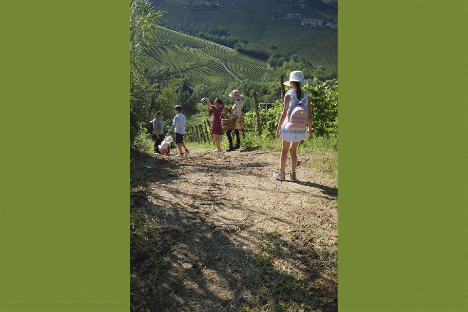 Monforte Dalba: Winery Tour With Aperitif &Tasting - Key Points