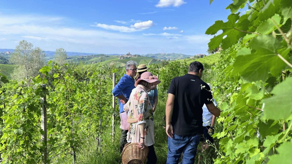 Monforte Dalba: Winery Tour With Aperitif &Tasting - Tour Highlights