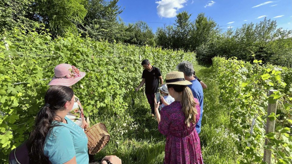 Monforte Dalba: Winery Tour With Aperitif &Tasting - What to Bring