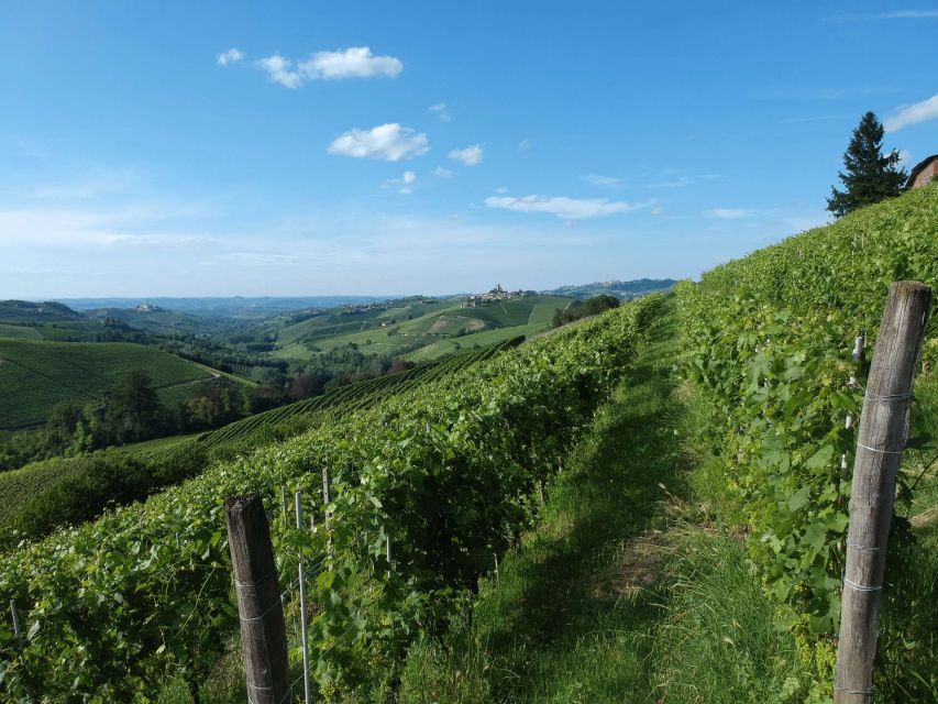 Monforte Dalba: Winery Tour With Aperitif &Tasting - Frequently Asked Questions