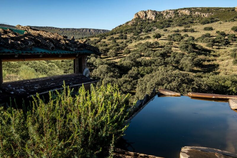 Monfrague Wildlife Experience: Vultures Close-up - Itinerary Highlights