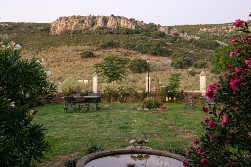 Monfrague Wildlife Experience: Vultures Close-up - Picnic and The Sum Up