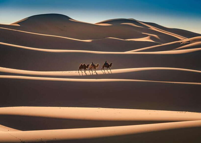 Mongolian Odyssey Throughout the Gobi 10 Days - The Itinerary: A Deep Dive into Mongolia’s Highlights