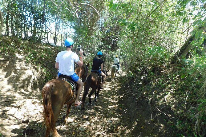 Monkey Encounter and Horse-Riding Tour in Puerto Plata - What Makes This Tour Stand Out?