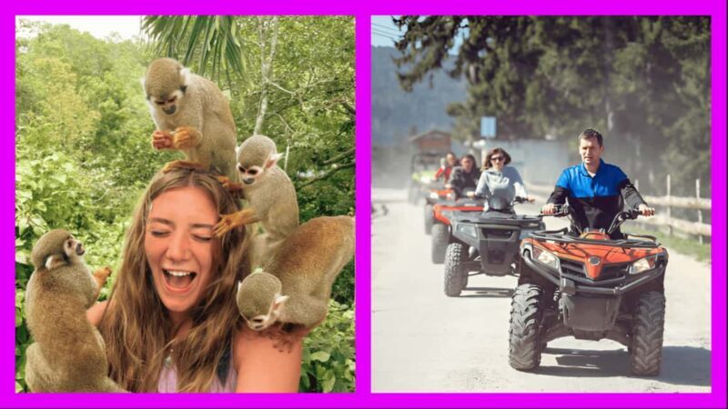 Monkey Encounter + ATV Riding Adventure  Puerto Plata - Final Thoughts: Why It’s Worth Considering