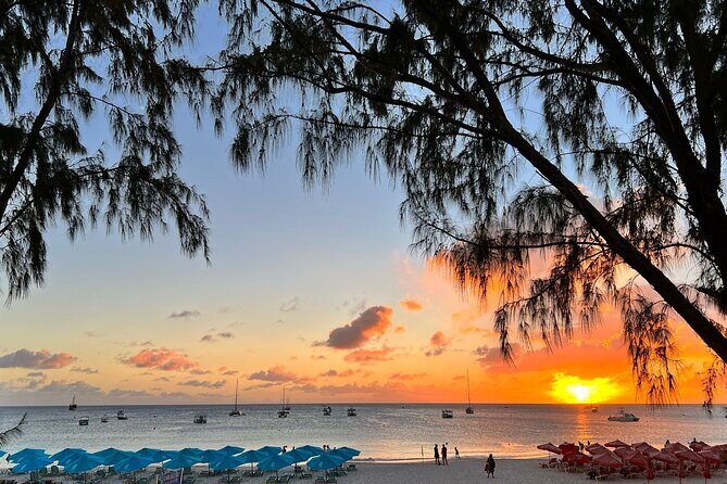 Monkey Feeding And Beach Day In Barbados - Final Thoughts: Who Will Enjoy This Tour?