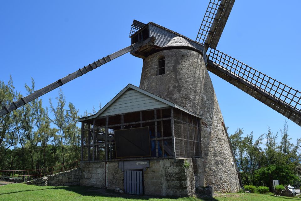 Monkey Feeding & Historic Sugar Plantation & Rum Distillery - Cherry Tree Hill Scenic Views