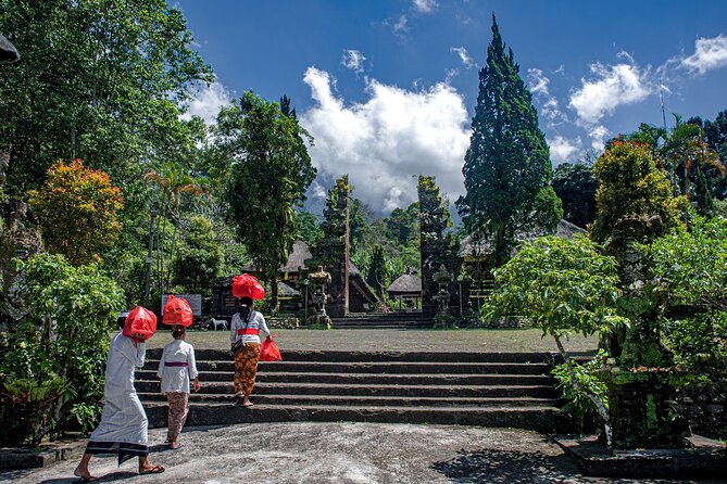Monkey Forest, Jatiluwih and Temple in Jungle Private Tour - Unique Attractions to Explore