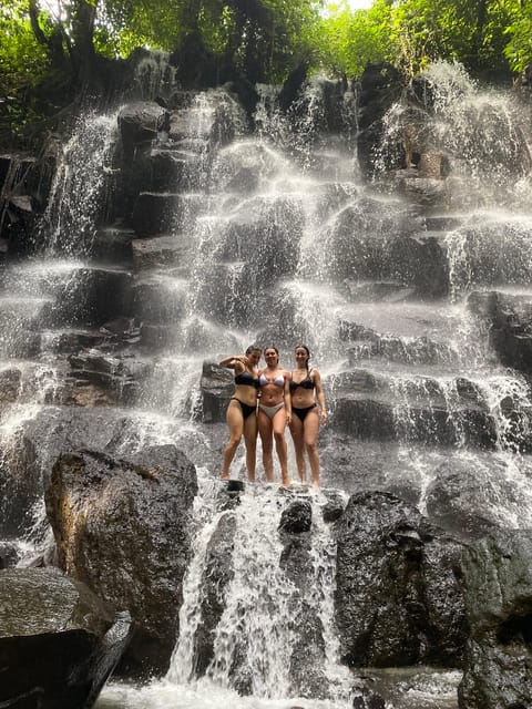 Monkey Forest, Waterfall ,Temple and Rice Terrace - Why This Tour Works Well
