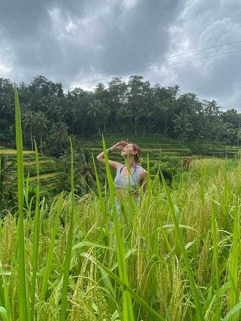 Monkey Forest, Waterfall ,Temple and Rice Terrace - Who Will Love This Tour?