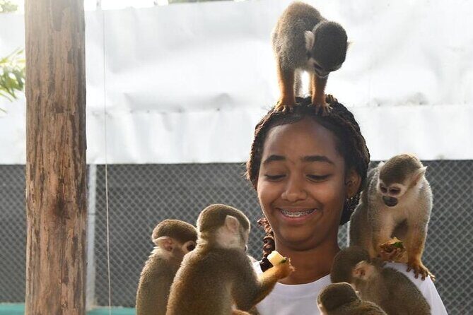 Monkey Home Puerto Plata Countryside Tour - Who Will Like This Tour?