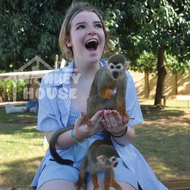 Monkey House VIP  An exclusive experience in Punta Cana - Key Points