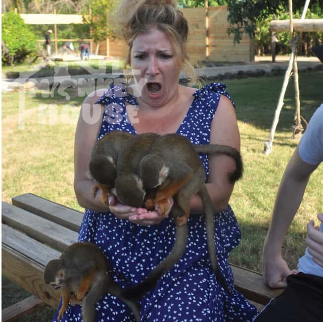 Monkey House VIP  An exclusive experience in Punta Cana - An Overview of the Monkey House VIP Experience