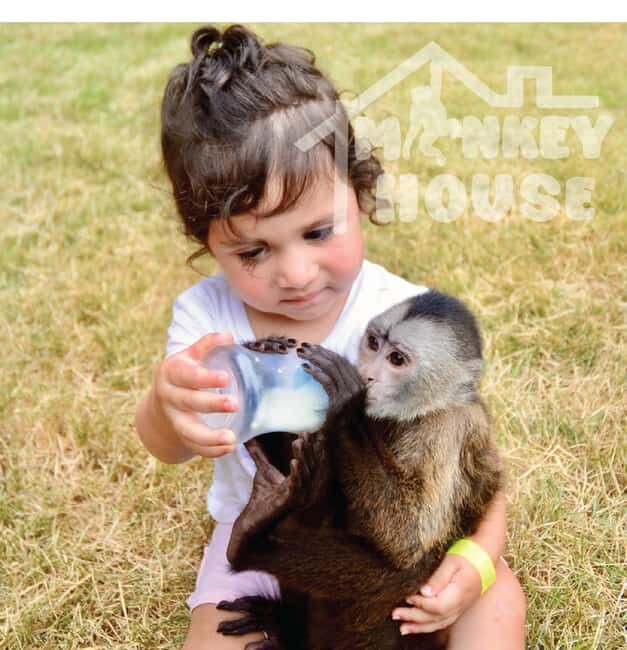 Monkey House VIP  An exclusive experience in Punta Cana - The Itinerary: What You Can Expect