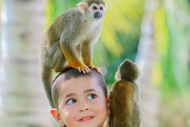 Monkey House VIP Experience with 4 species of monkeys, Punta Cana - The Animal Welfare and Ethical Aspects