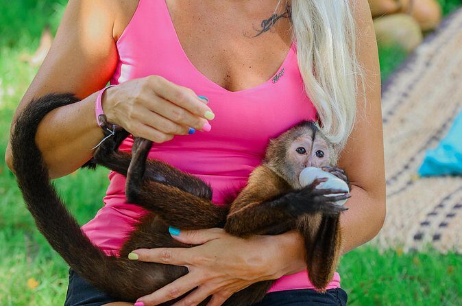 Monkey House VIP Experience with 4 species of monkeys, Punta Cana - Transportation and Practical Details