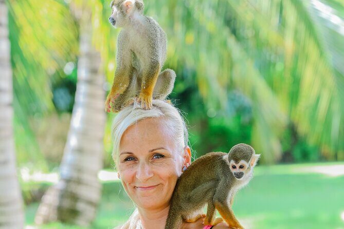 Monkey House VIP Experience with 4 species of monkeys, Punta Cana - Reviews Snapshot: Authentic Perspectives