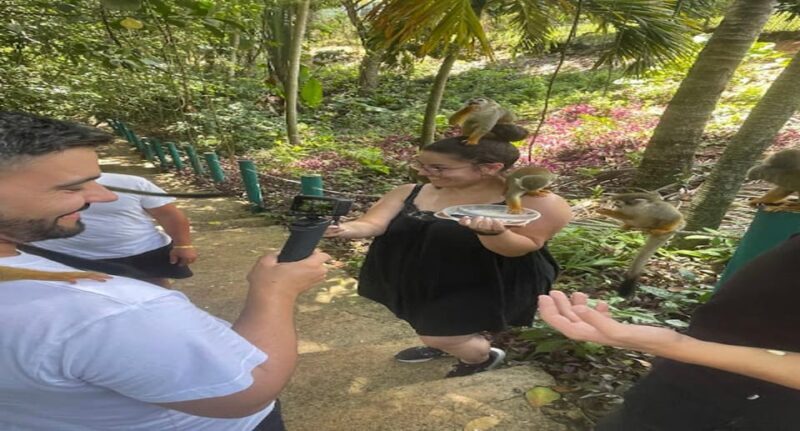 Monkey jungle tour + Transportation from cruise/hotel - Who Will Love This Tour?