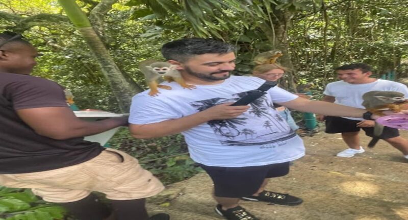 Monkey jungle tour + Transportation from cruise/hotel - FAQ