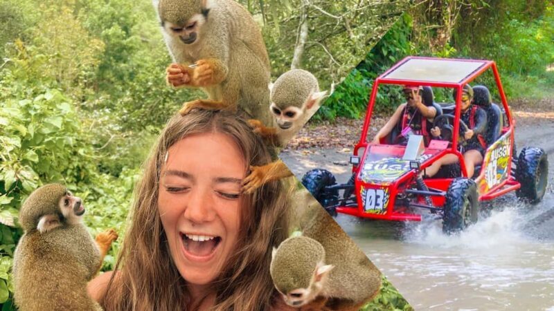 Monkey Land Plus Buggies in Puerto plata - Key Points