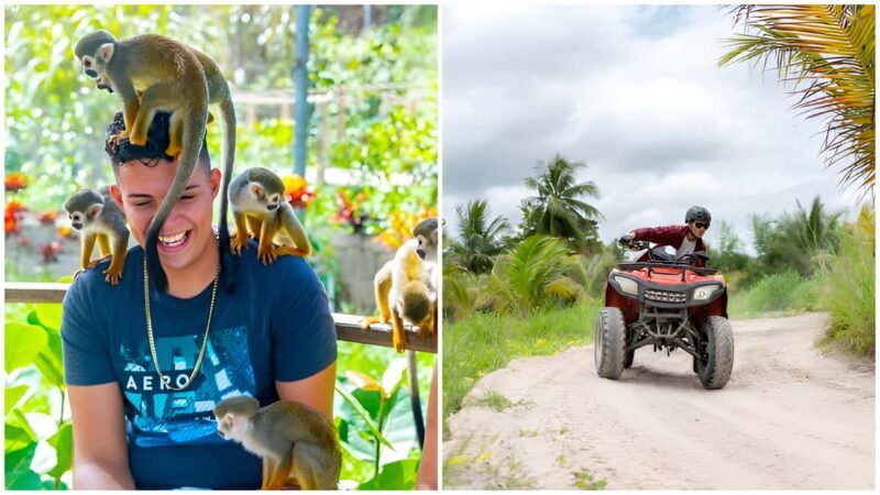 Monkey Land Plus Buggies in Puerto plata - A Deep Dive into the Experience