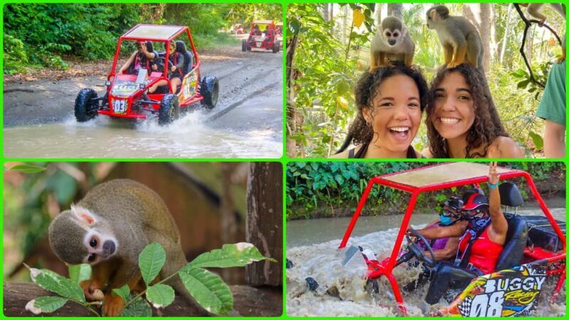Monkey Land Plus Buggies in Puerto plata - Value and Practicalities