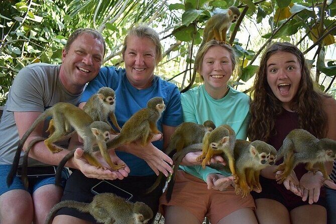 Monkey Mania Puerto Plata - Key Points