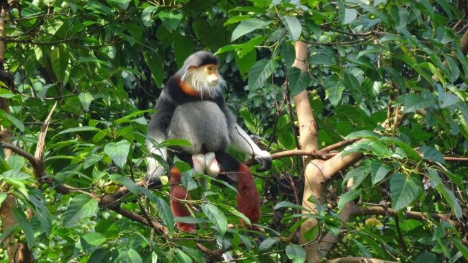 Monkey Mountain Hidden Gems Full-Day Tour - What to Bring