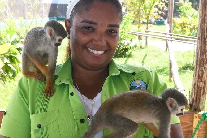 Monkey tour from Amber cove Y Taino bay Puerto Plata - Key Points