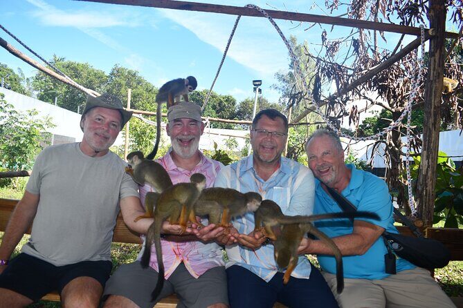 Monkey Tour Interaction and Damajagua waterfalls in Puerto Plata. - Key Points