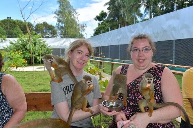 Monkey Tour Interaction and Damajagua waterfalls in Puerto Plata. - Transportation, Group Size, and Pricing