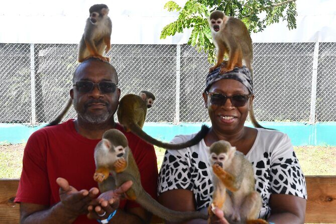 Monkey Tour Interaction and Damajagua waterfalls in Puerto Plata. - Authenticity and Safety